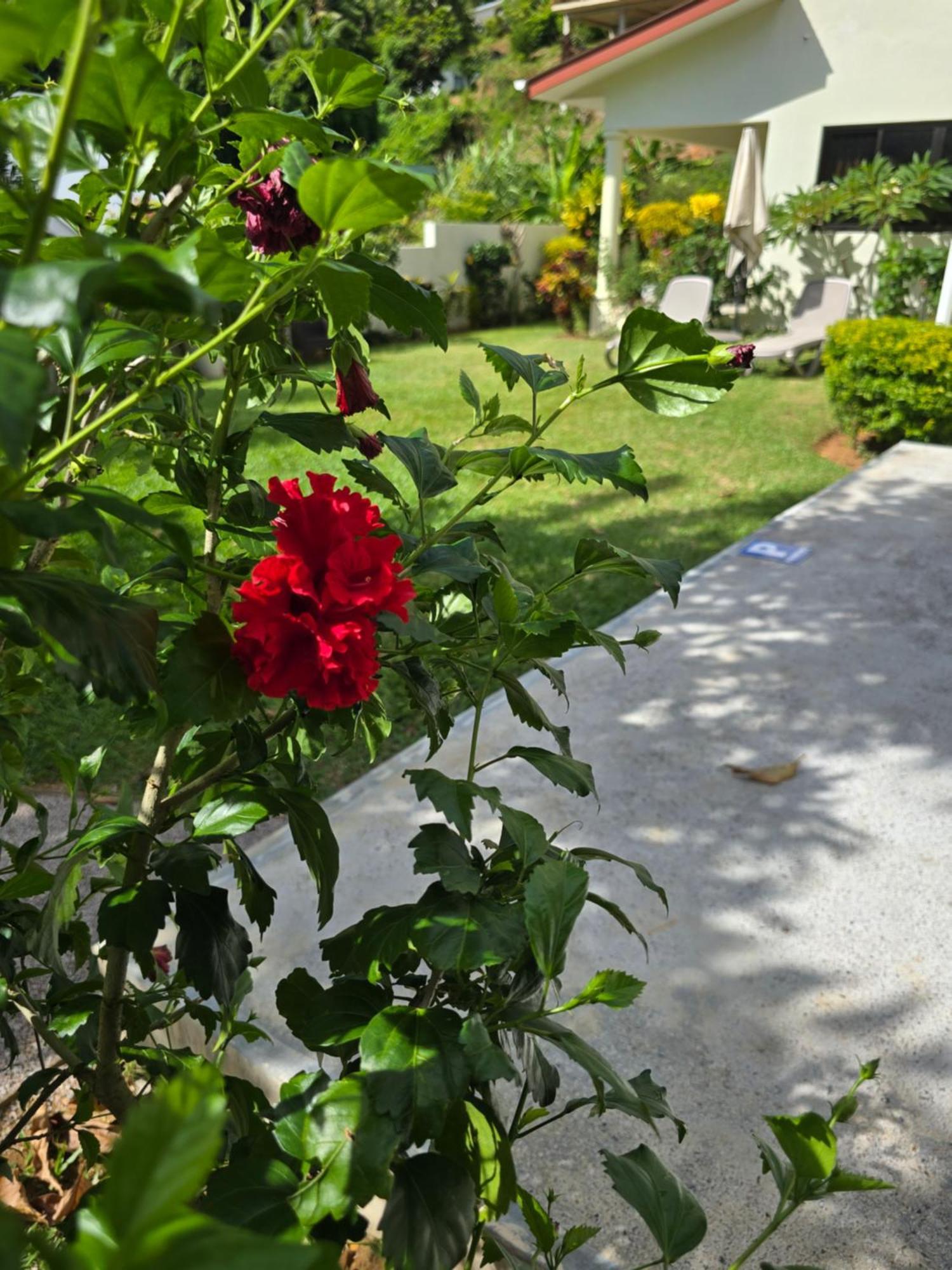 Emma'S Guest House And Self-Catering Au Cap Buitenkant foto