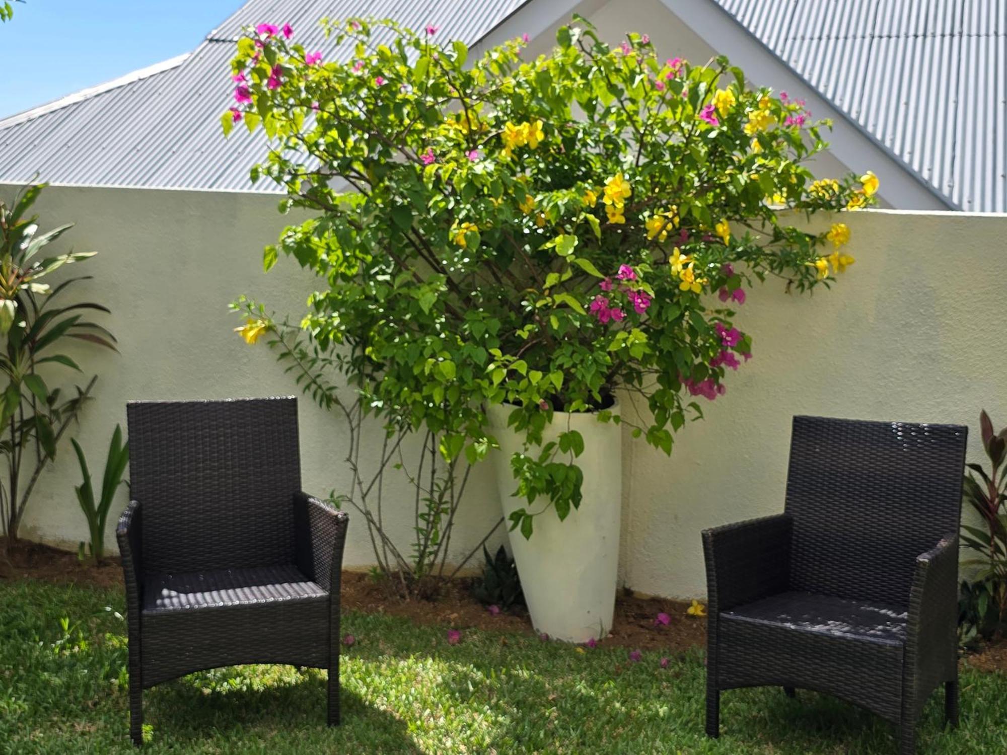 Emma'S Guest House And Self-Catering Au Cap Buitenkant foto